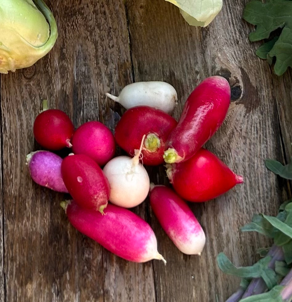 Radishes (8 oz)