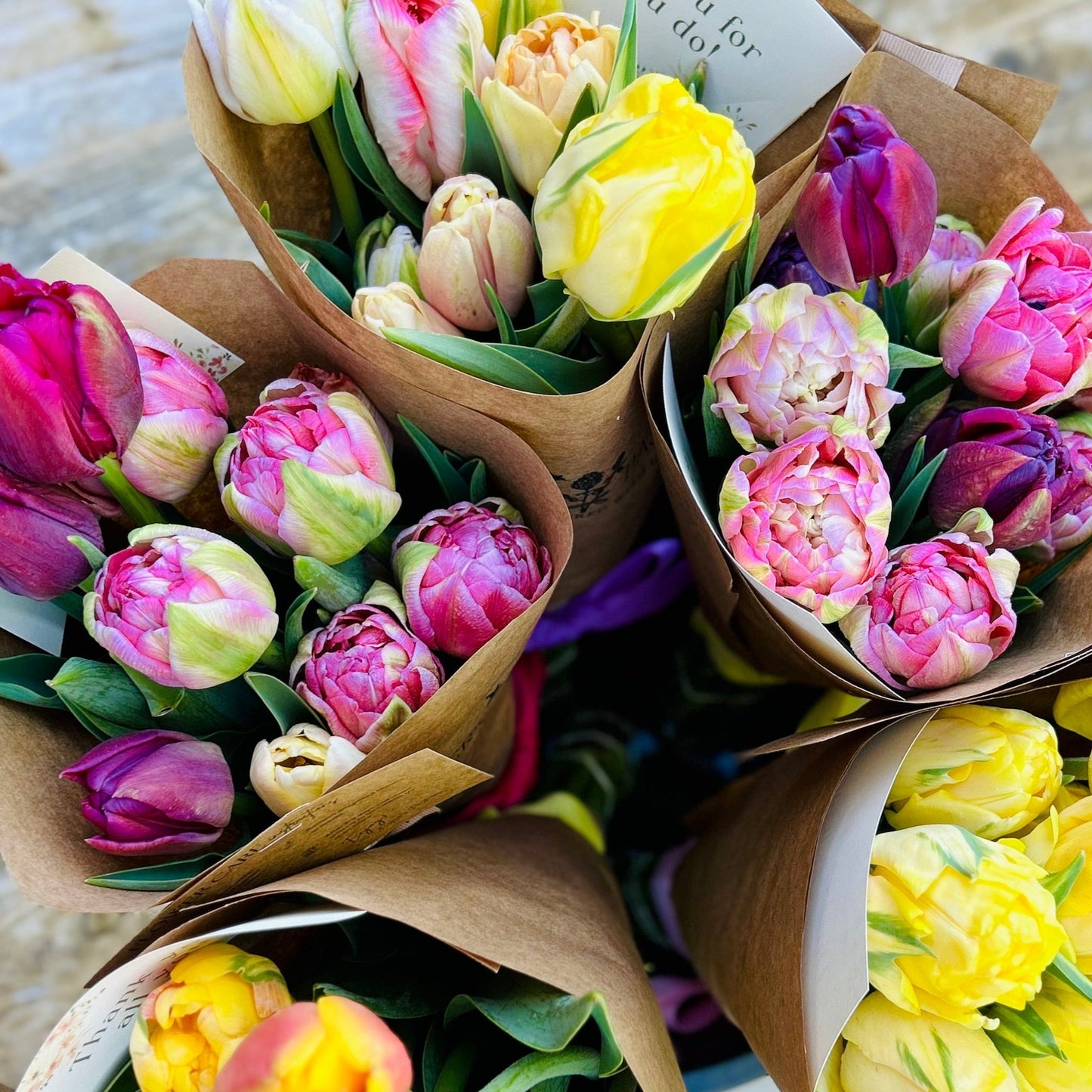 Tulip Bunch Teacher Appreciation & Mother's Day Pre-Order