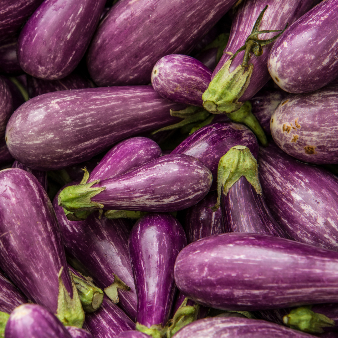 Eggplant – Fairy Tale (live plant)