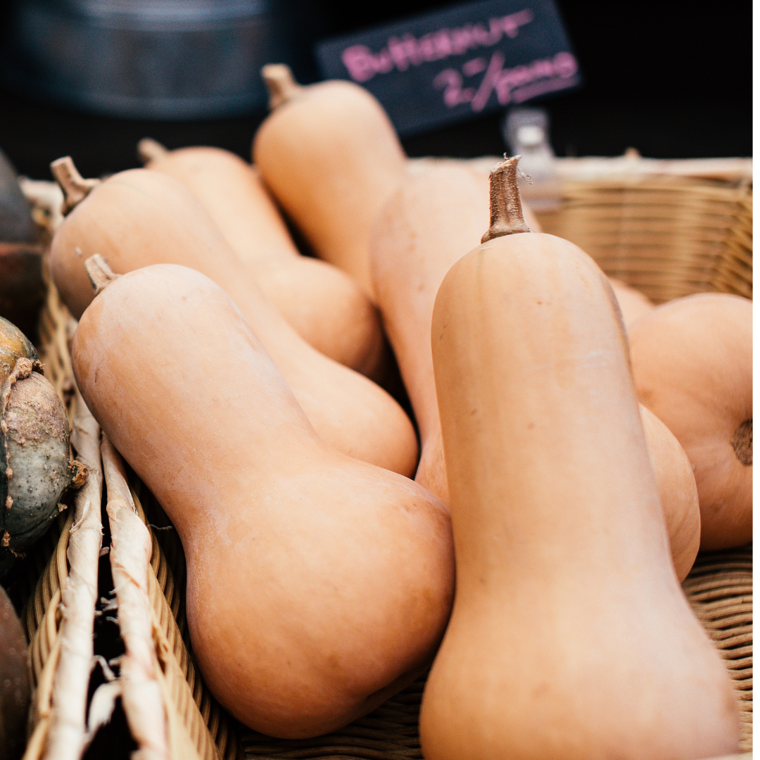 Butternut Squash-Butterscotch PMR (live plant)