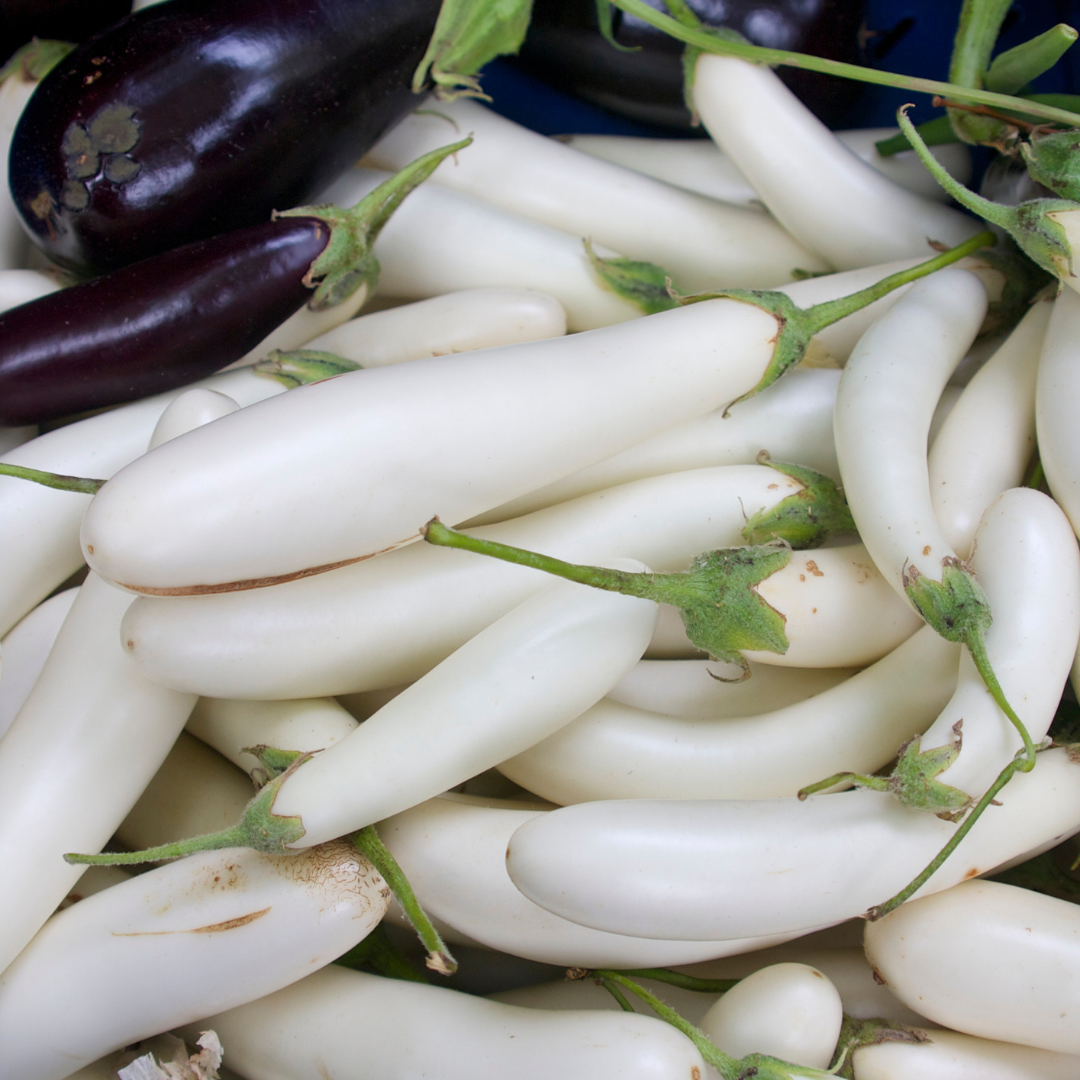 Eggplant – Hansel