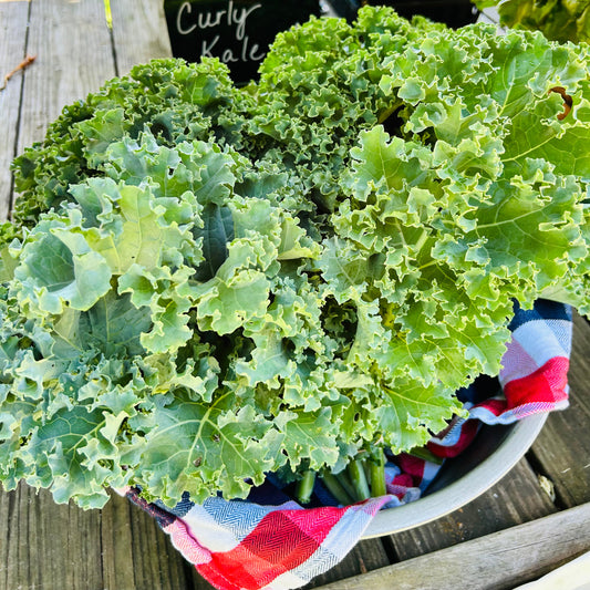 Kale (bunch)