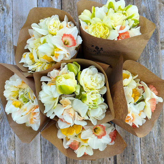 Heirloom Narcissus Bunch