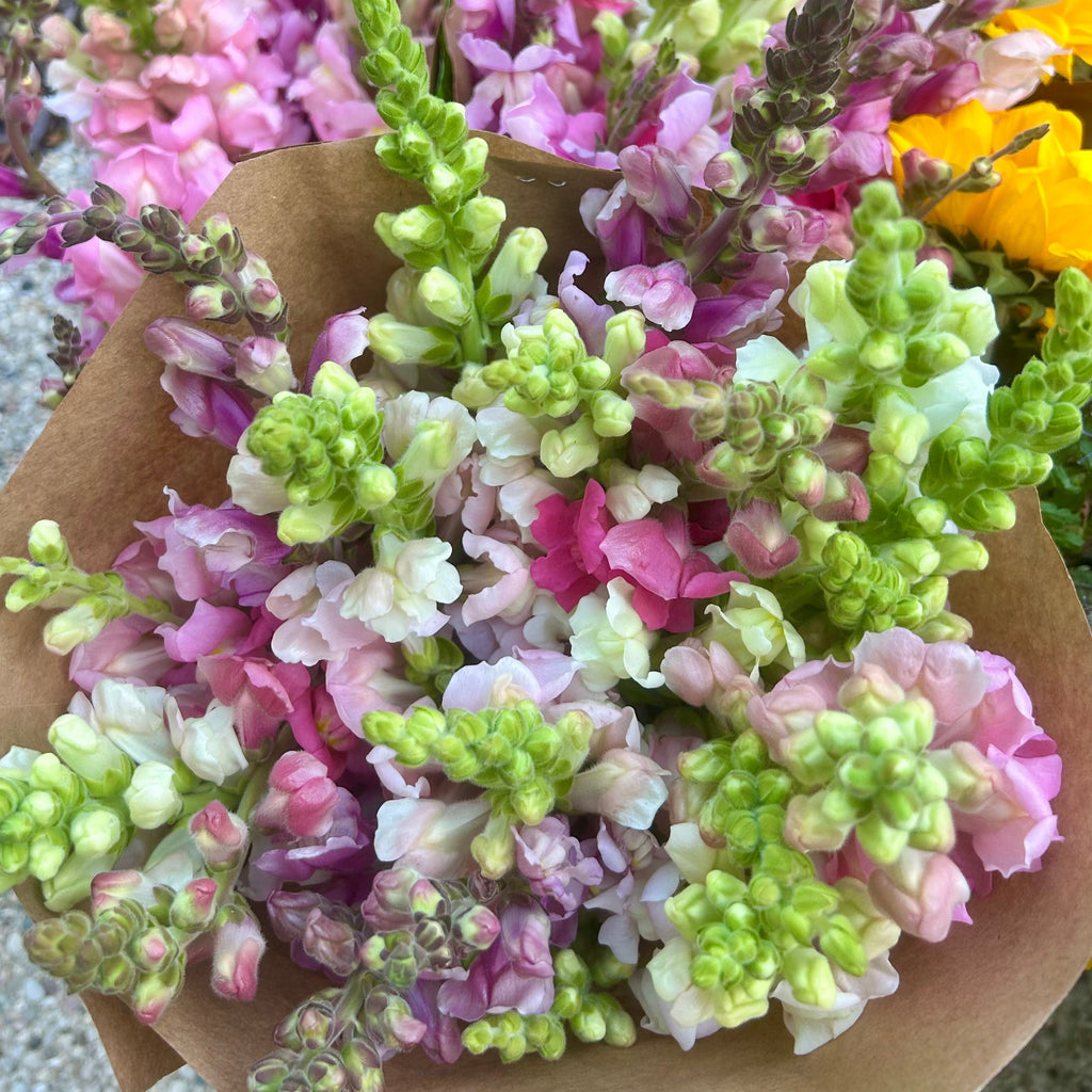 Mixed Bouquet