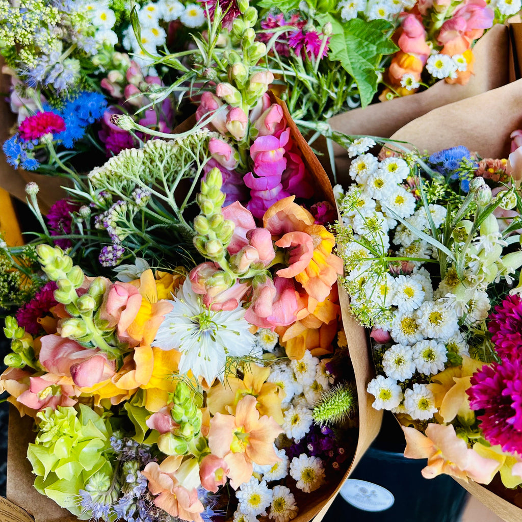 Jasper's Bouquet of the Month Club