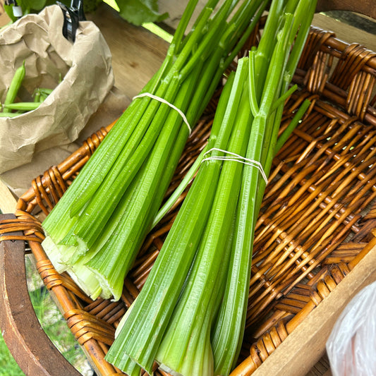 Celery (bunch)