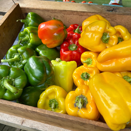 Bell Peppers