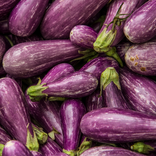 Eggplant – Fairy Tale (live plant)