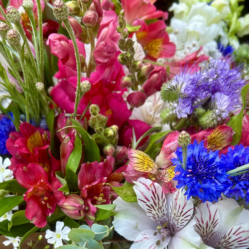 Mixed Bouquet