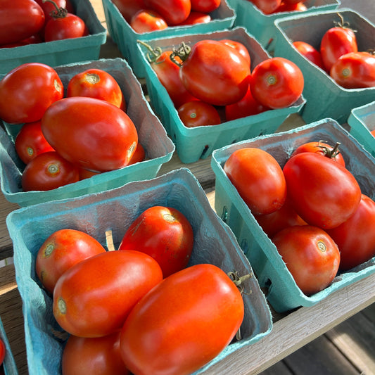 Roma Tomato Basket