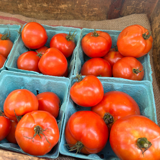 Beef Tomato Basket (1 lb)