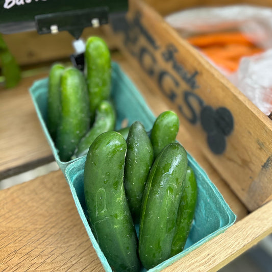 Cucumbers - Mini (basket)