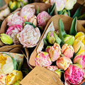 Bunches of fresh cut tulips in various colors including pink, yellow, and green, wrapped in brown paper with hand-tied ribbons.