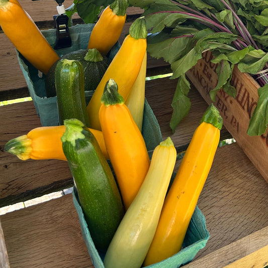 Squash Basket