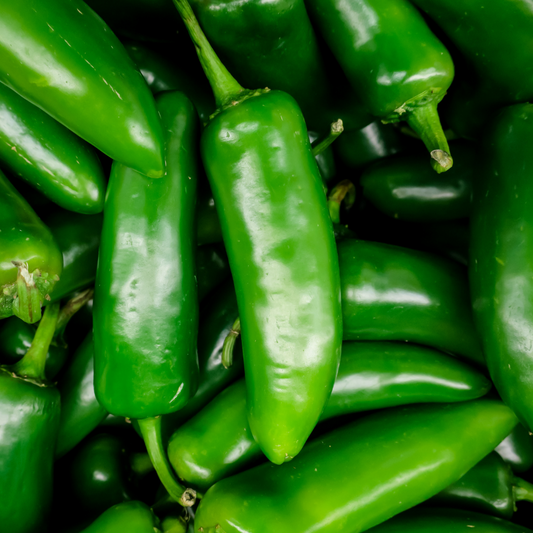 Jalapeno - Jedi (live plant)