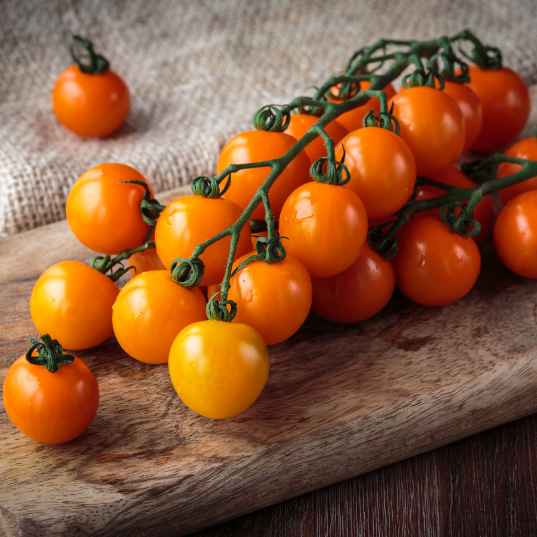 Tomato (Cherry) – Citrine (live plant)