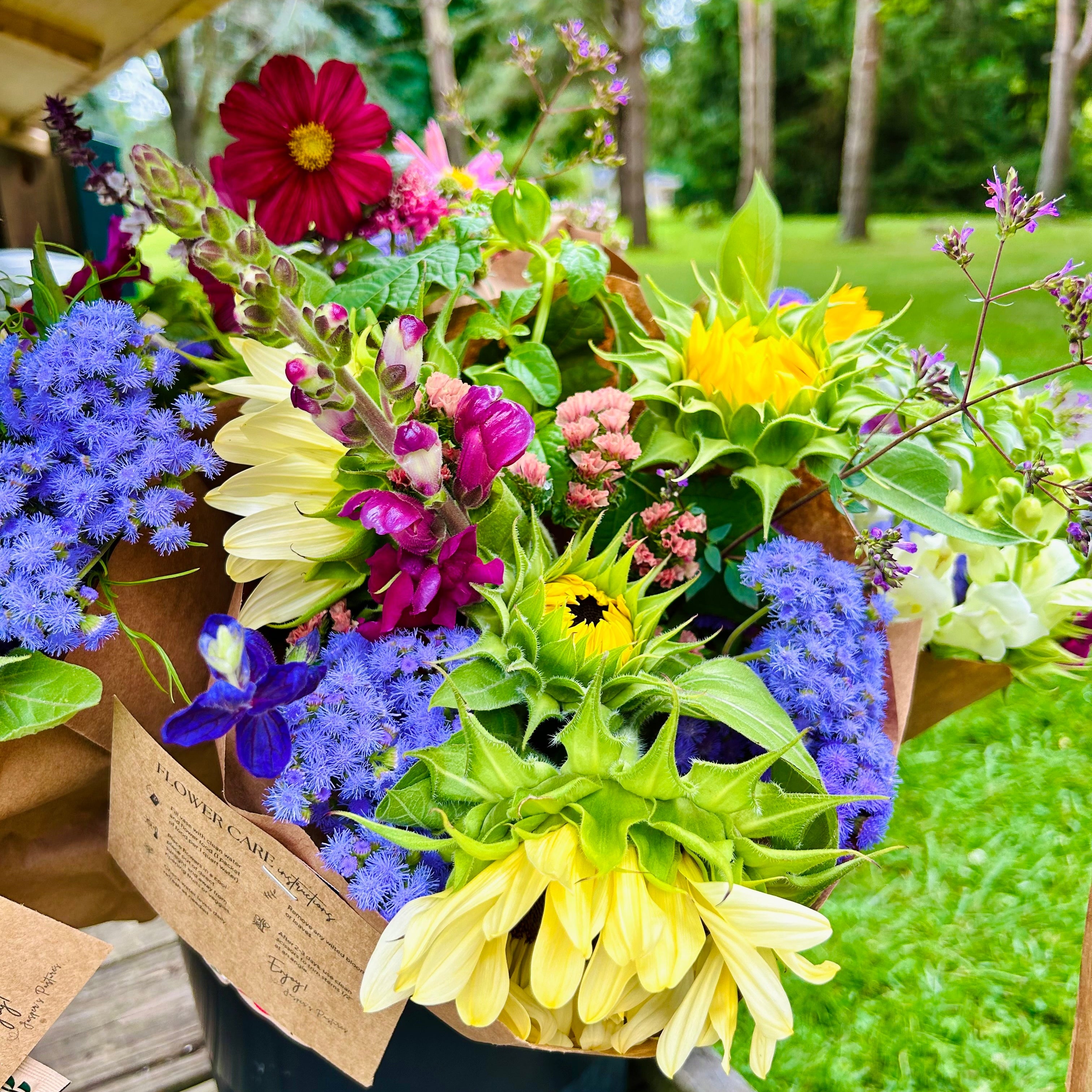 Bouquet of colorful flowers with a natural outdoor background