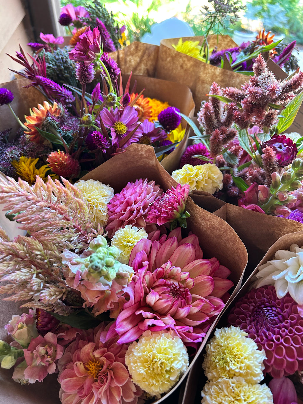 Jasper's Bouquet of the Month Club