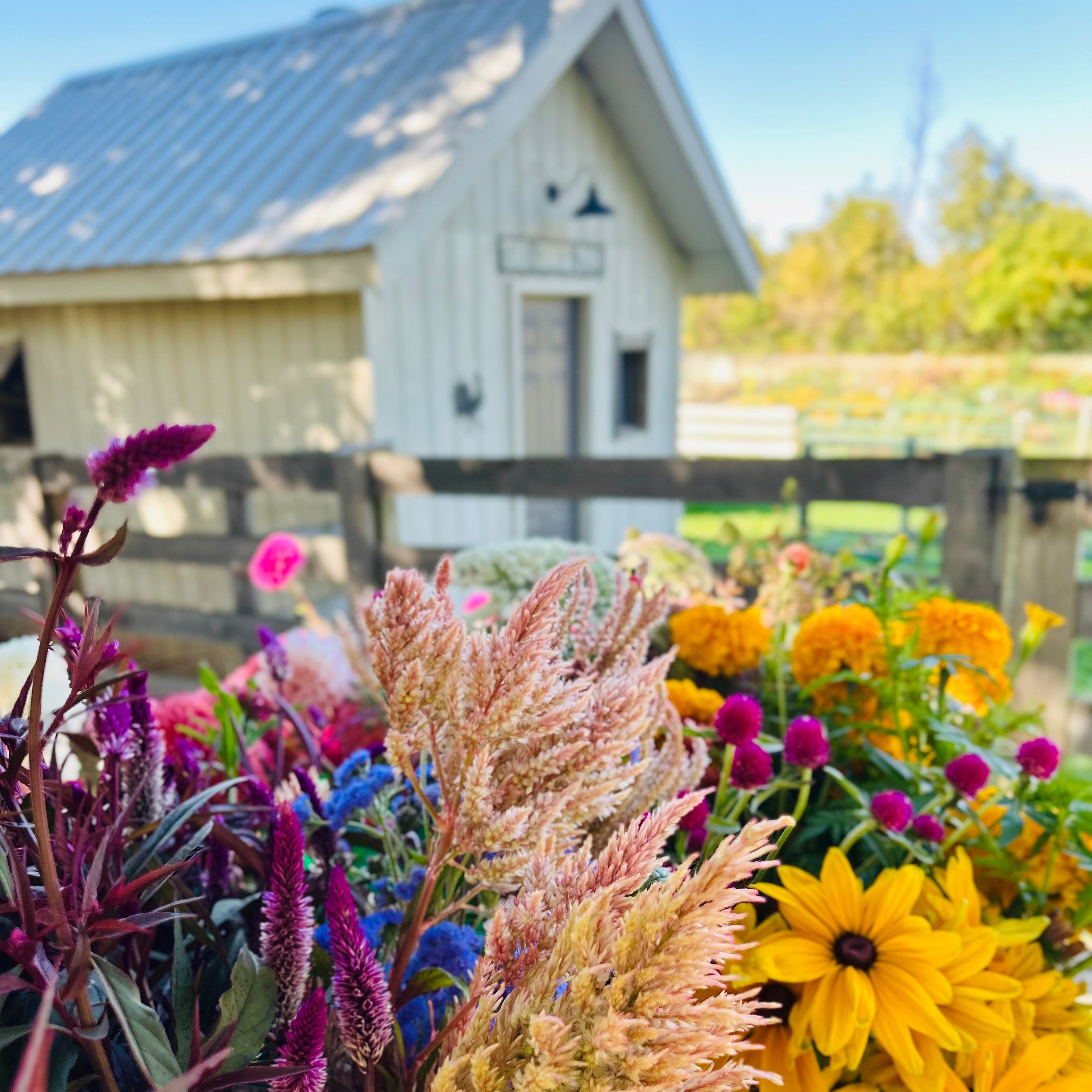 Bouquet of flowers with a barn and garden in the background