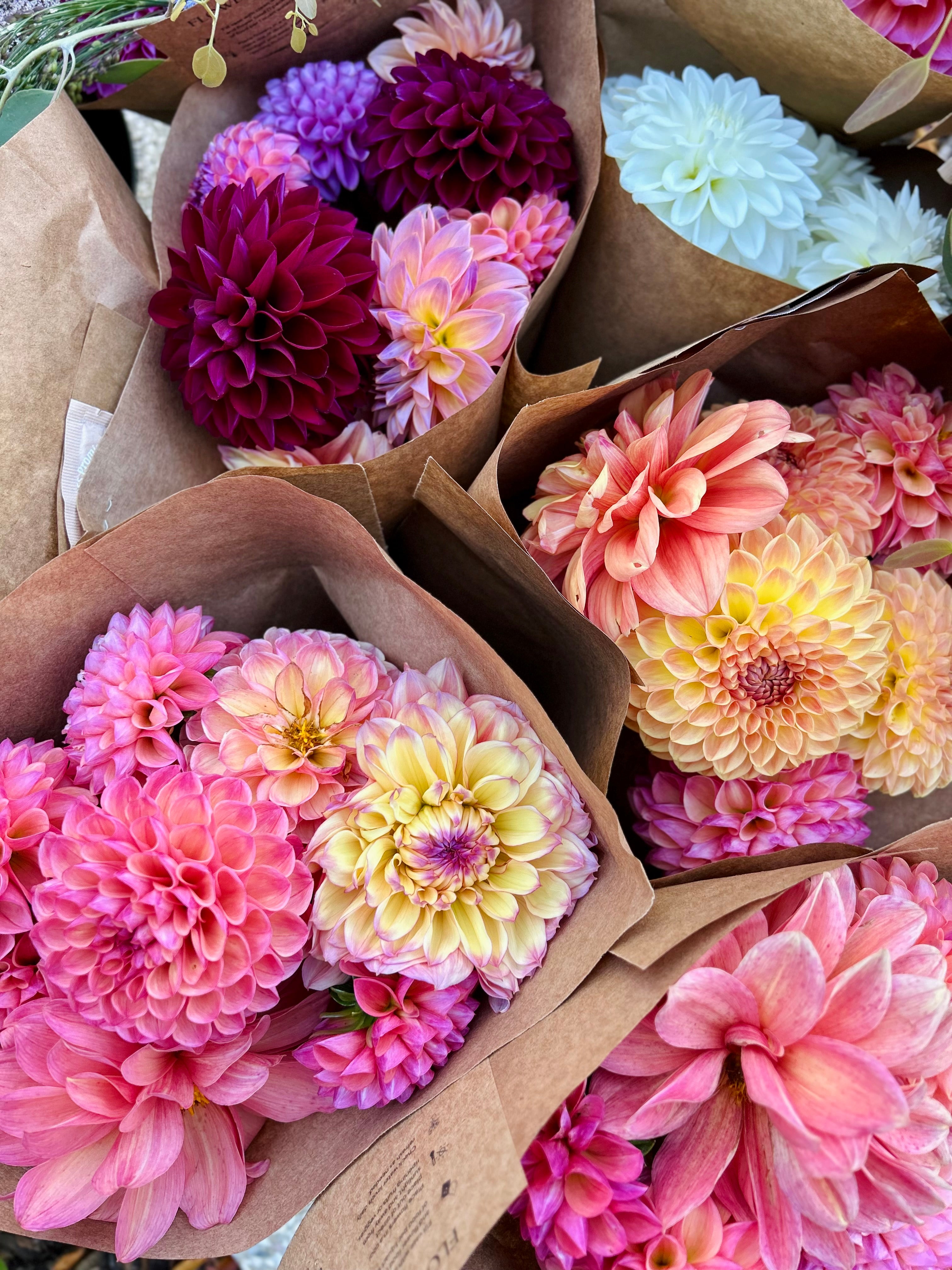 Jasper's Bouquet of the Month Club