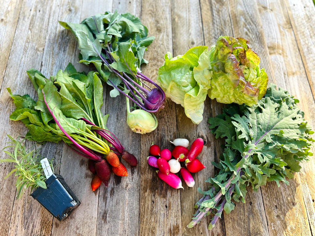 Pre-Packed Seasonal Farm Box