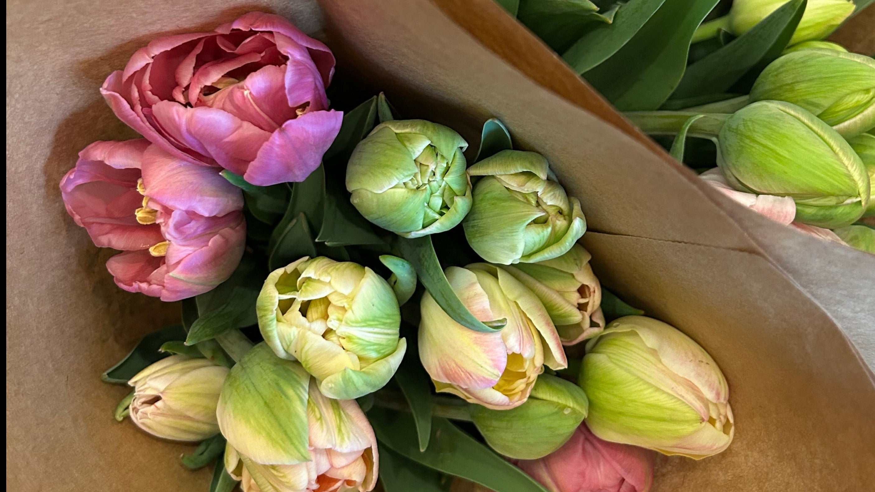 Tulip Pre-Order – Jasper's Pastures